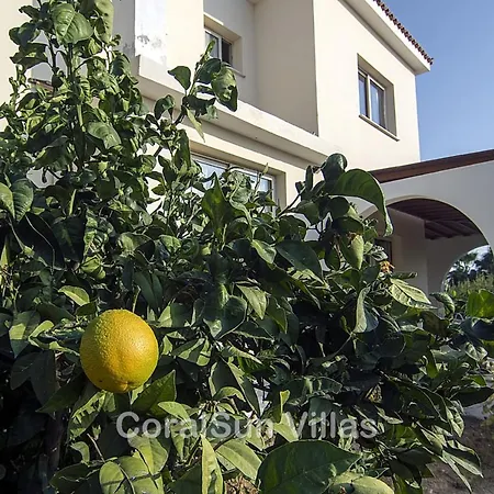 Magic Coral 304 By Coral Sun Com *