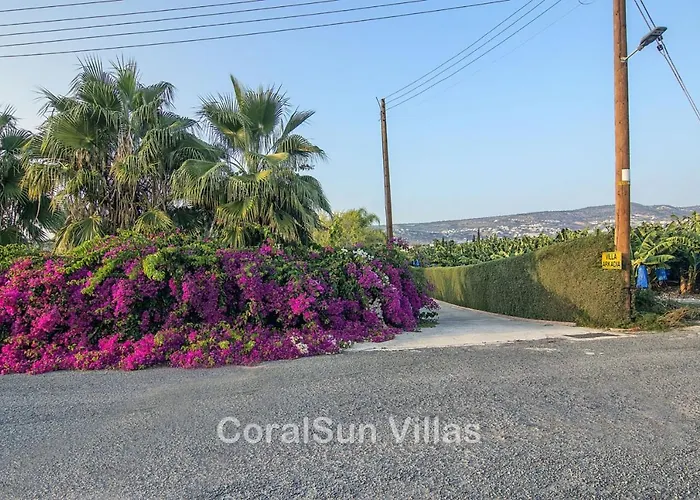 Magic Coral 304 By Coral Sun Com